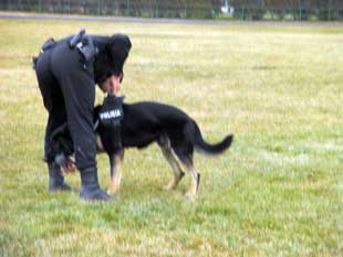 Foto cedida por Policia Nacional