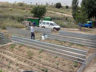 Foto cedida por Ayuntamiento de Paracuellos