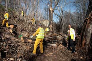 Foto cedida por Ayuntamiento de Coslada
