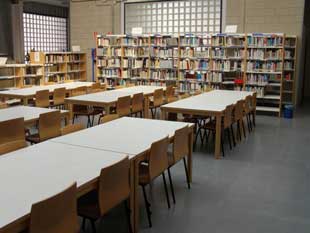 Foto cedida por Ayuntamiento de Paracuellos