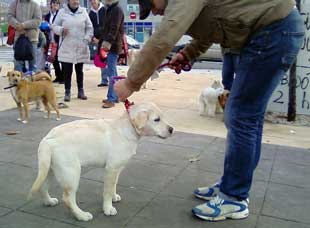 Foto cedida por Ayuntamiento de Paracuellos