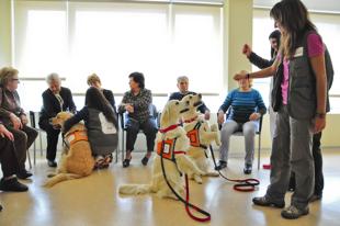 Foto cedida por Ayuntamiento de Torrejón