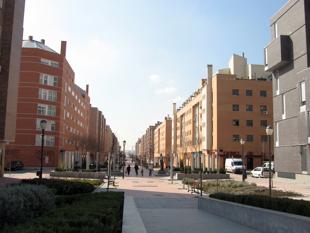 Foto cedida por Ayuntamiento de Coslada