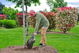 Foto cedida por Ayuntamiento de Torrejón