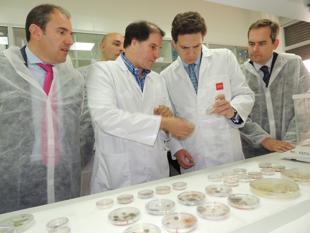 Foto cedida por Ayuntamiento de Alcalá