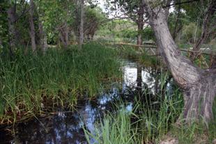 Foto cedida por Ayuntamiento de Coslada