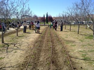 Foto cedida por Ayuntamiento de Alcalá