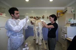 Foto cedida por Ayuntamiento de Paracuellos