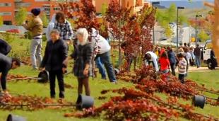 Foto cedida por Ayuntamiento de Paracuellos