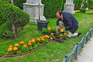 Foto cedida por Ayuntamiento de Torrejón