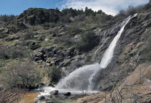 Foto cedida por Ayuntamiento de Paracuellos
