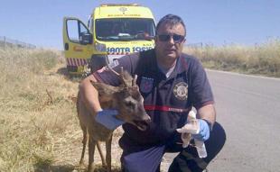 Foto cedida por Ayuntamiento de Paracuellos