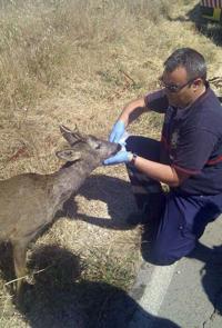 Foto cedida por Ayuntamiento de Paracuellos