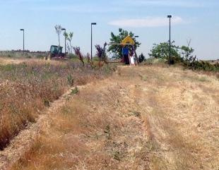 Foto cedida por Ayuntamiento de Paracuellos