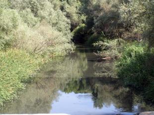 Foto cedida por Ayuntamiento de Paracuellos