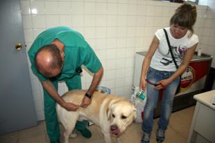 Foto cedida por Ayuntamiento de Coslada