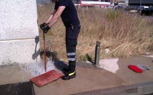 Foto cedida por Ayuntamiento de Paracuellos