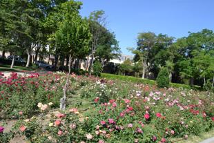 Foto cedida por Ayuntamiento de Alcalá