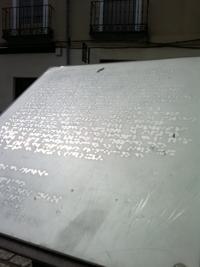 Foto cedida por España 2000