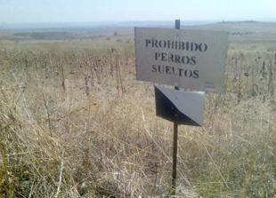 Foto cedida por Ayuntamiento de Paracuellos