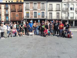 Foto cedida por Plataforma para la Protección Animal