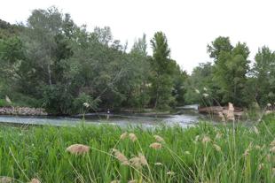 Foto cedida por Ayuntamiento de Alcalá