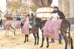 Foto cedida por Ayuntamiento de Alcalá