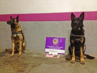 Foto cedida por Ayuntamiento de Torrejón