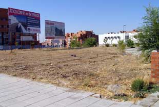 Foto cedida por Ayuntamiento de Paracuellos