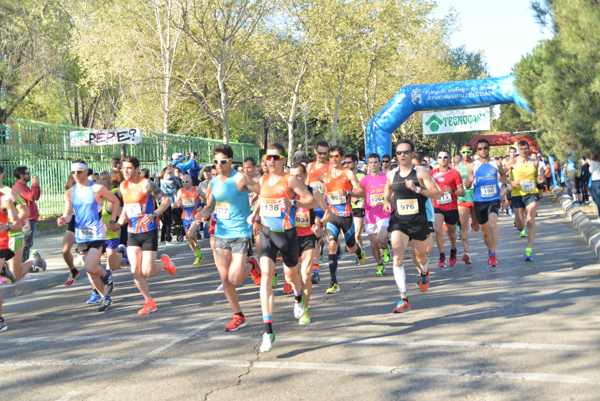 Foto cedida por Ayuntamiento de Coslada
