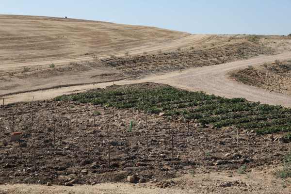 Foto cedida por Ayuntamiento de Madrid