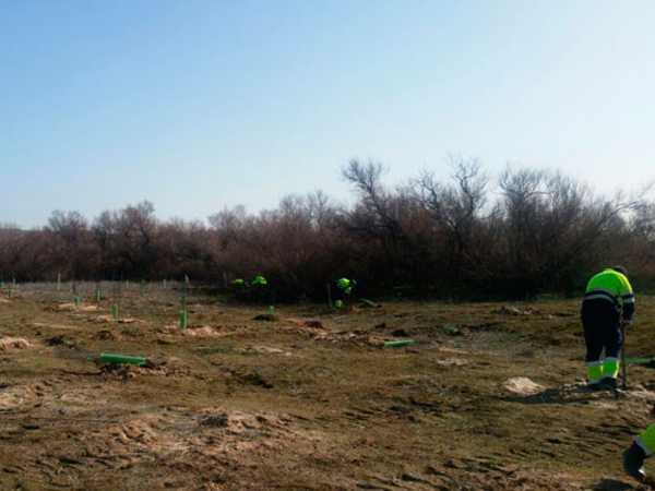 Foto cedida por Ayuntamiento de Aranjuez