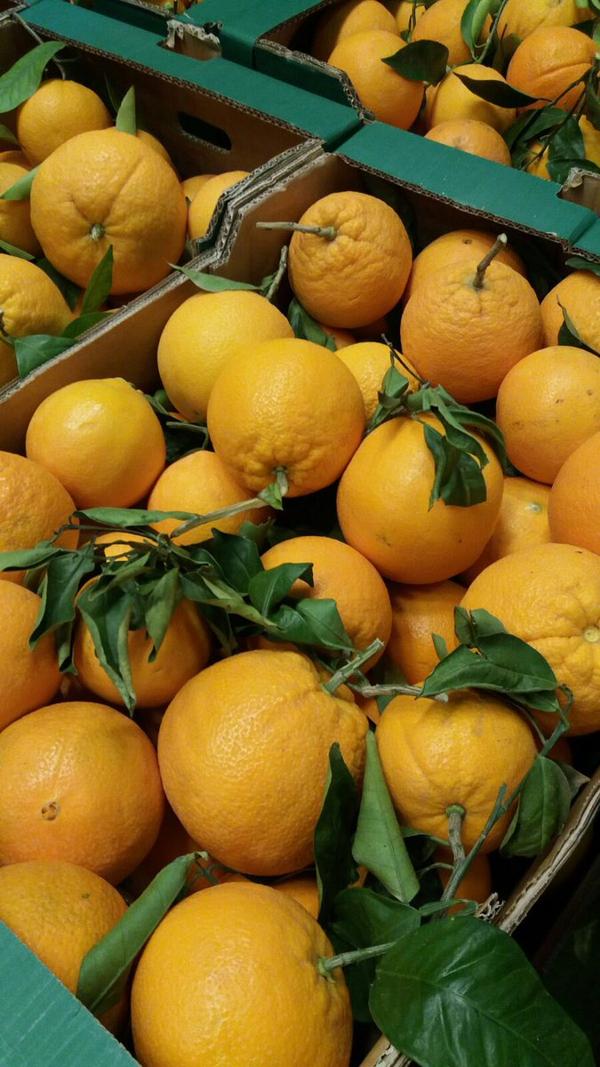 Foto cedida por Ayuntamiento de Madrid