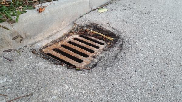 Foto cedida por Cs Paracuellos