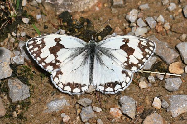 Foto cedida por Ayuntamiento de Madrid