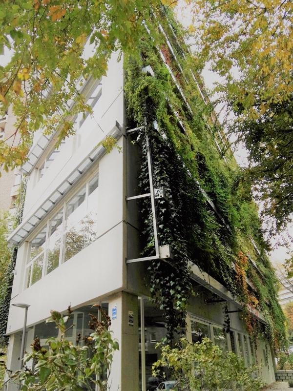 Foto cedida por Ayuntamiento de Madrid