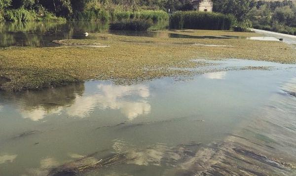 Foto cedida por Ayuntamiento de Aranjuez