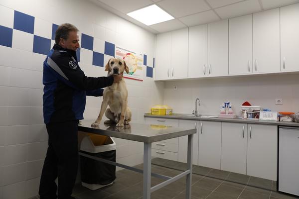 Foto cedida por Ayuntamiento de Madrid