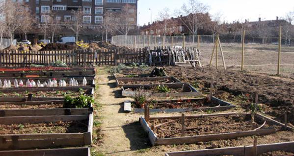 Foto cedida por Ayuntamiento de Madrid