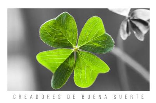 Foto cedida por Ayuntamiento de Arganda