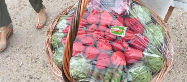 Foto cedida por Ayuntamiento de Aranjuez