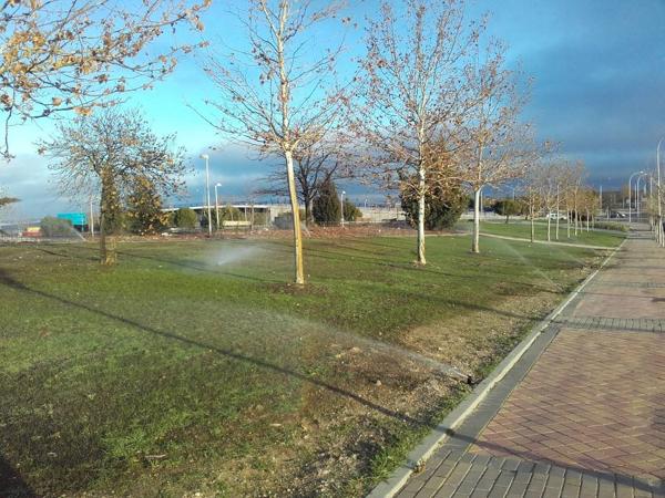 Foto cedida por Ayuntamiento de Madrid