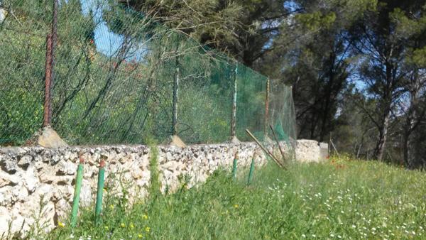 Foto cedida por Cs Villalbilla