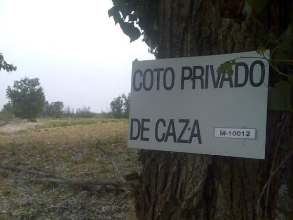 Foto cedida por Ayuntamiento de Paracuellos