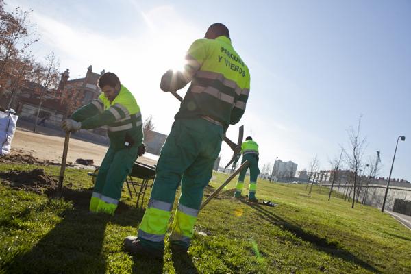 Foto cedida por Ayuntamiento de Madrid