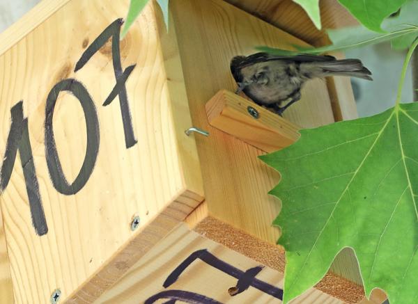 Foto cedida por Ayuntamiento de Madrid