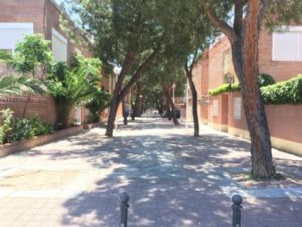 Foto cedida por Cs Torrejón