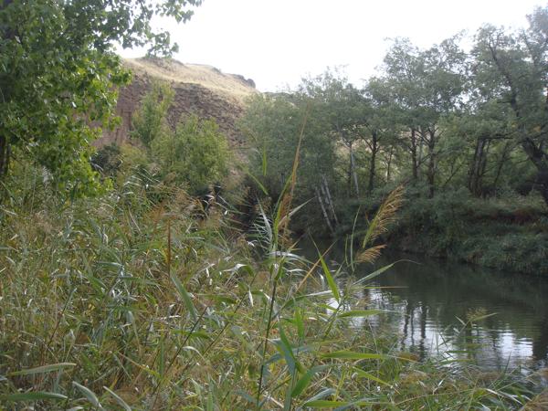 Foto cedida por Ayuntamiento de Alcalá
