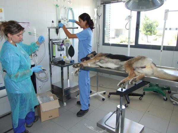 Foto cedida por Ayuntamiento de Madrid
