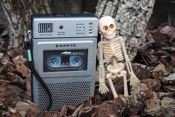 Foto cedida por Ayuntamiento de Madrid